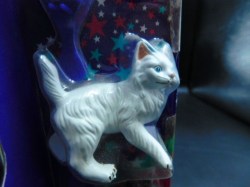 starr taylor pet main a